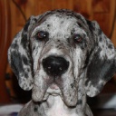 ADEITASUNA DIOS DE LA VIDA