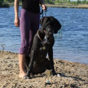 5 месяцев \\ 5 month