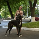 Zamin be my dream terra alano