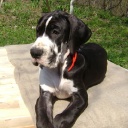 APAIR  ZERUKO  DIOS  DE  LA  VIDA