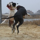 Aragorn DIOS DE LA VIDA & Avrora DIOS DE LA VIDA