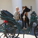 Zamin be my dream terra alano