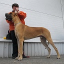 Биг Бой нуо Гражучиу