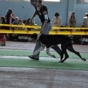 AVRORA DIOS DE LS VIDA