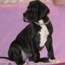 54 дня \\ 54  days