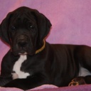 Открыть категорию