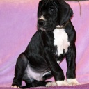 54 дня \\ 54  days