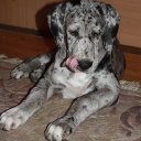 Открыть категорию