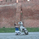 Aragorn DIOS DE LA VIDA 