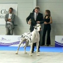 Чемпионат Европы 2010