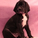 56 дня  \\  56 days