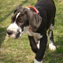 APAIR  ZERUKO  DIOS  DE  LA  VIDA