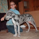 ADEITASUNA DIOS DE LA VIDA