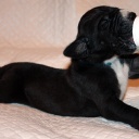 Открыть категорию