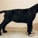 Открыть категорию