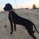 Открыть категорию