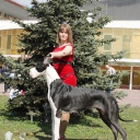 мама щенков