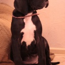 56 дня  \\  56 days