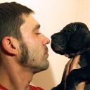 Открыть категорию