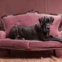 Открыть категорию