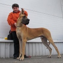 Биг Бой нуо Гражучиу