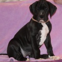 54 дня \\ 54  days