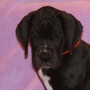 Открыть категорию