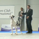 Чемпионат Европы 2010 