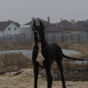 Открыть категорию