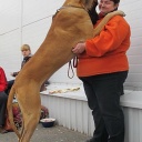 Биг Бой нуо Гражучиу