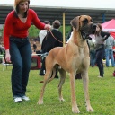 Биг Бой нуо Гражучиу