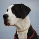 Открыть категорию