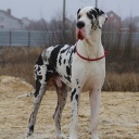 Aragorn DIOS DE LA VIDA 