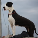 Открыть категорию