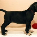 Открыть категорию