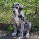 ADEITASUNA DIOS DE LA VIDA