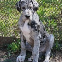 ADEITASUNA DIOS DE LA VIDA