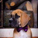 Открыть категорию