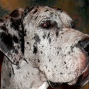 Открыть категорию