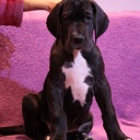 Открыть категорию