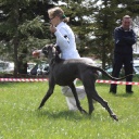 Открыть категорию