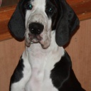 AVRORA  DIOS  DE  LA  VIDA