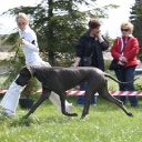 COSMO LADY TERRA ALANO