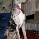 ADEITASUNA DIOS DE LA VIDA