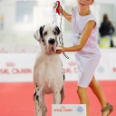 Чемпионат Мира - 2015