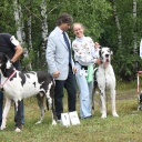 Aragorn DIOS DE LA VIDA 