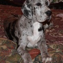 ADEITASUNA DIOS DE LA VIDA